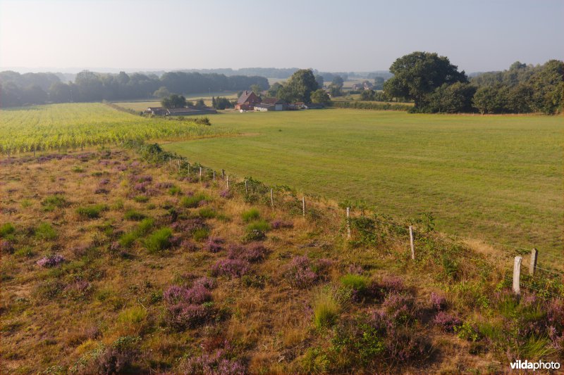 Lappendeken van natuur en landbouw