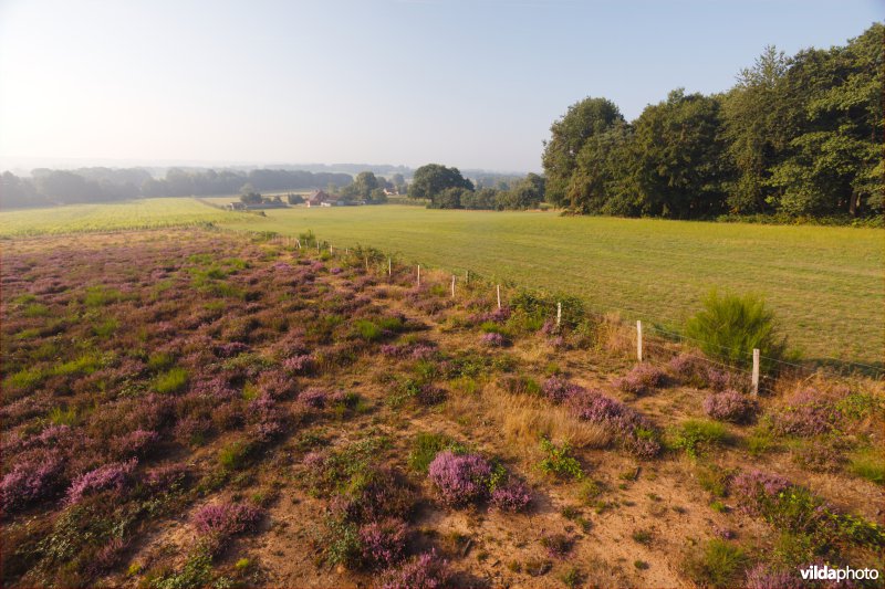 Lappendeken van natuur en landbouw