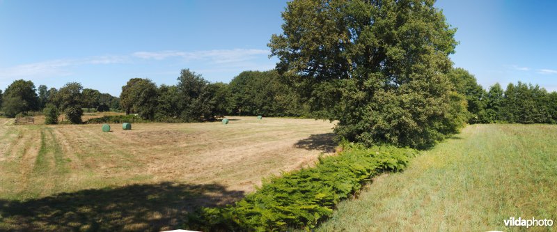 Kleine landschapselementen tussen landbouw