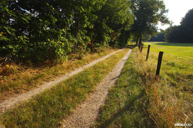 Schrale wegberm