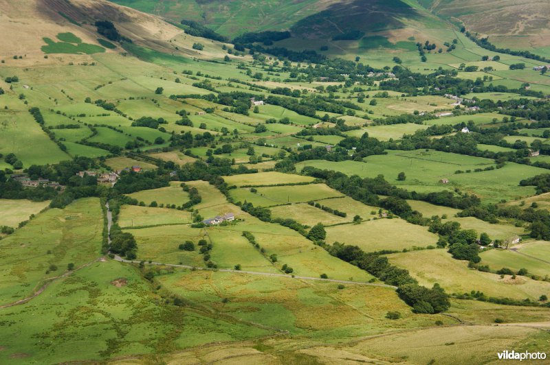 Houtkanten in de heuvels van het Peak District