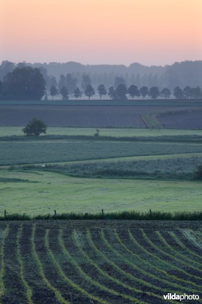 Ochtendlicht boven de Getevallei