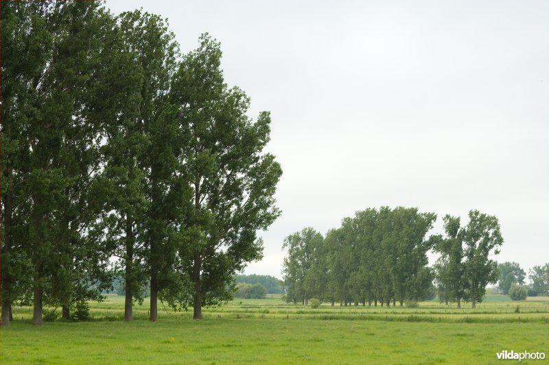 Coulissenlandschap in de Getevallei