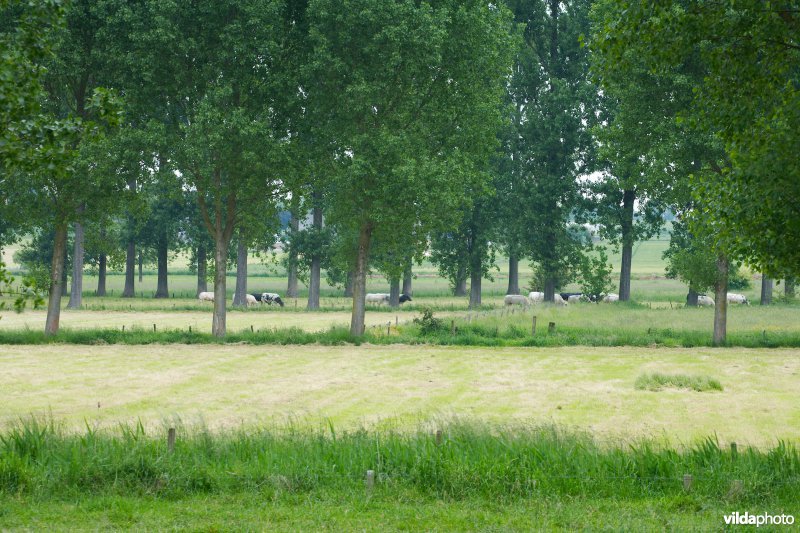 Coulissenlandschap in de Getevallei