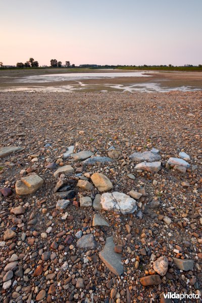 Nieuwe natuur langs de Maas