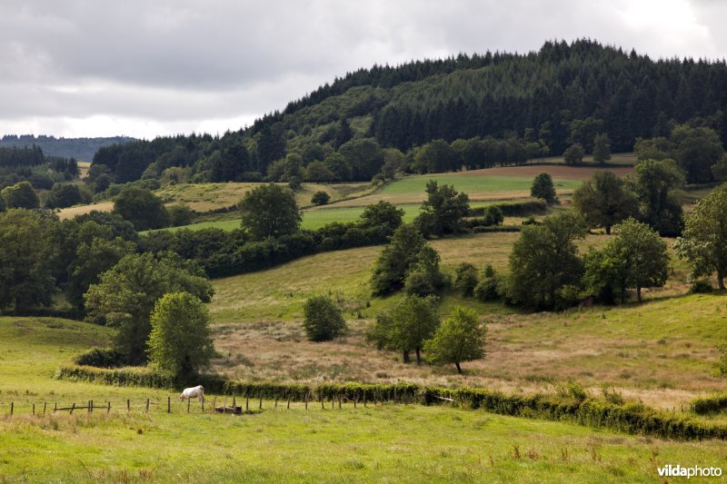 Kleinschalig landbouwlandschap