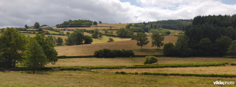 Kleinschalig landbouwlandschap