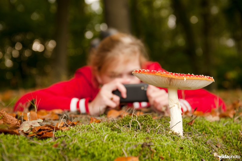 Meisje fotografeert vliegenzwam