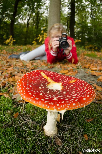 Meisje fotografeert vliegenzwam