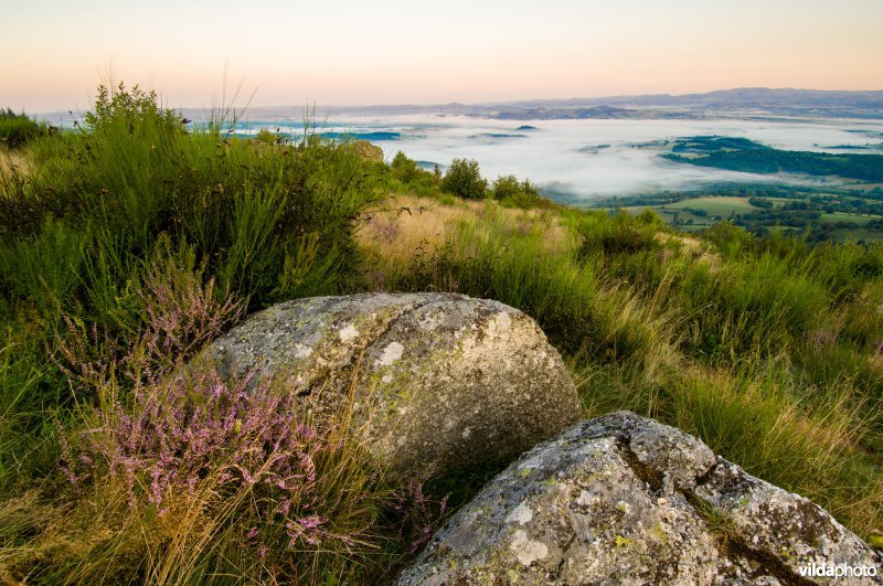 Ochtendnevel in dal met bos en weilanden, Morvan, Frankrijk