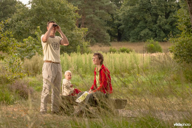 Wandelen in de Meinweg