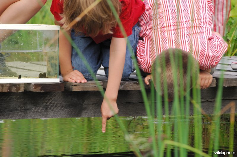 Bijna met de neus in 't water