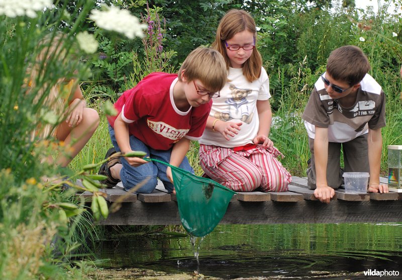 Kinderen onderzoeken vijverleven