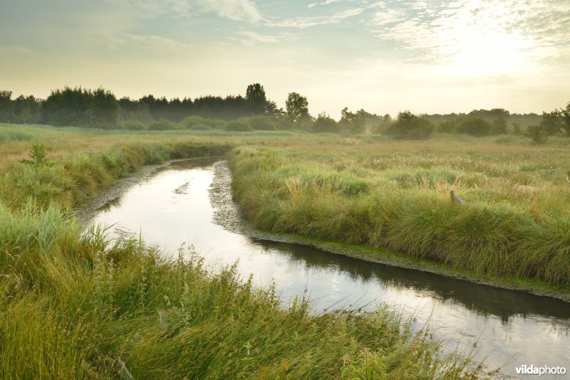 De Dommel in het Hageven