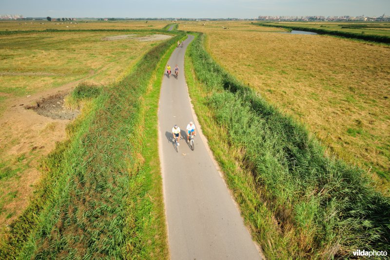 Fietsers in de Uitkerkse Polders