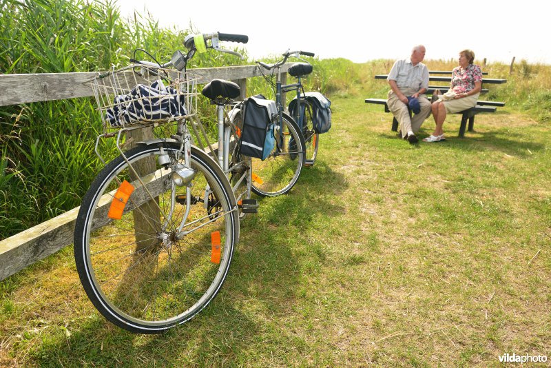 Fietsers in de Uitkerkse Polders