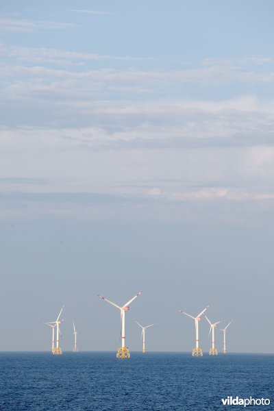 Offshore windpark C-Power