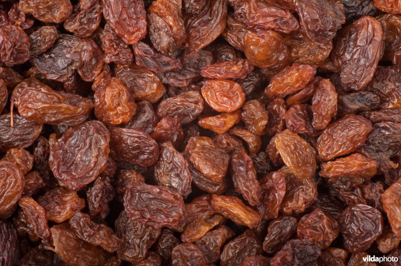 Rozijnen (gedroogde druiven)