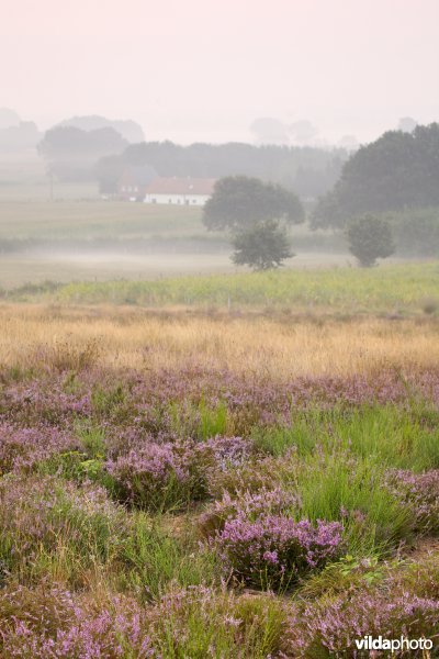 Natuurontwikkeling