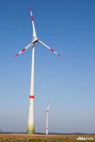 Windturbine