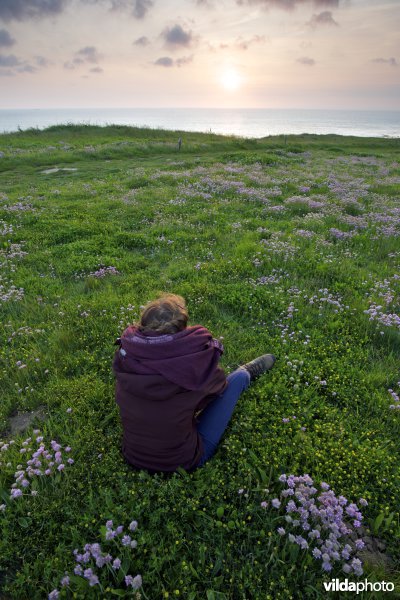 Zonsondergang aan de klifkust begroeid met Engels gras