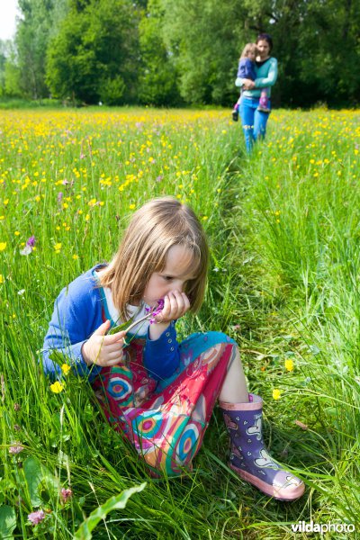 Meisje bewondert orchideeën