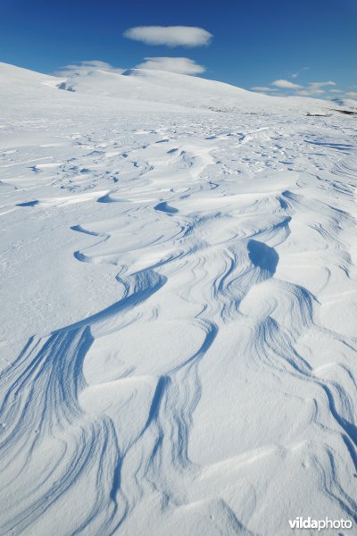 Winters landschap in Dovrefjell