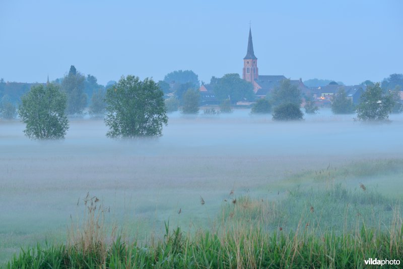 Paardeweide