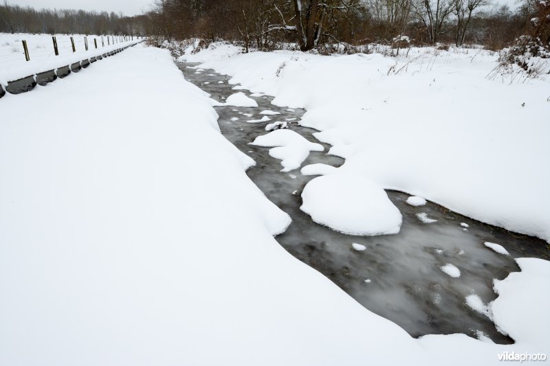 Sneeuw in de Doode Bemde