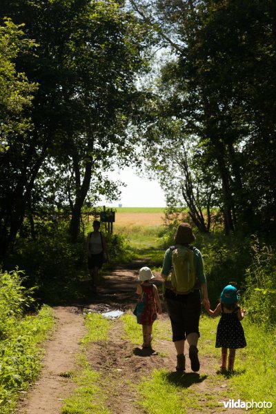 Wandelen in het Silsombos