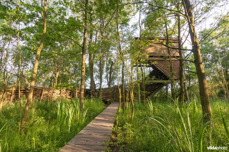 Plankenpad naar de uitkijktoren