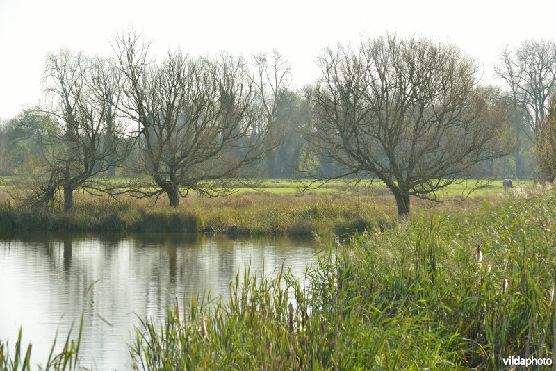 Natuurreservaat De Bourgoyen