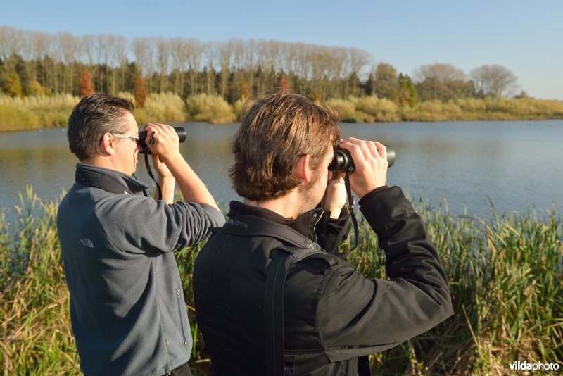 Natuurreservaat De Bourgoyen