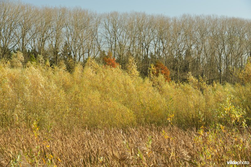 Natuurreservaat De Bourgoyen