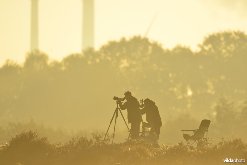 Natuurreservaat De Maten