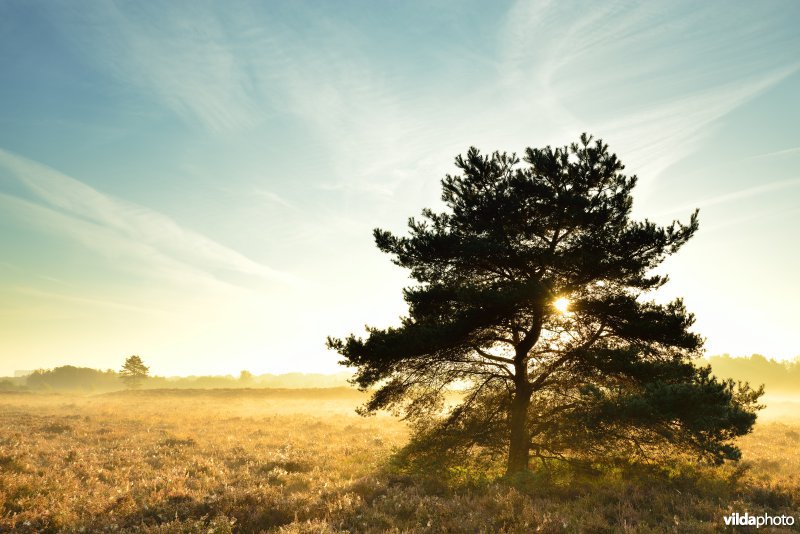 Natuurreservaat De Maten