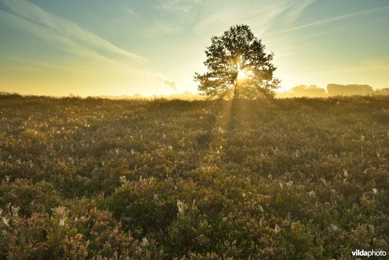 Natuurreservaat De Maten