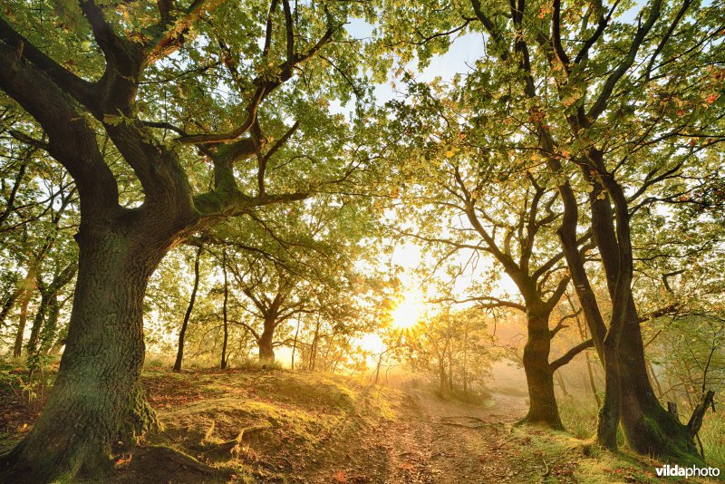 Natuurreservaat De Maten