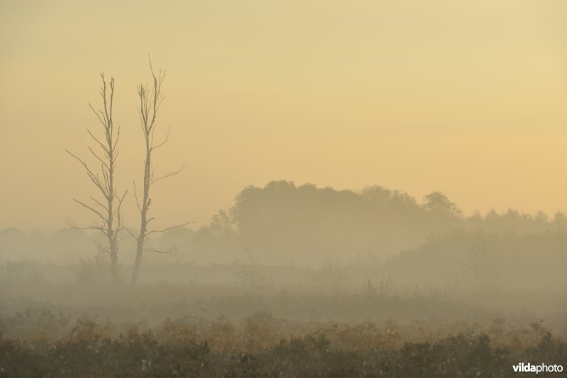 Natuurreservaat De Maten