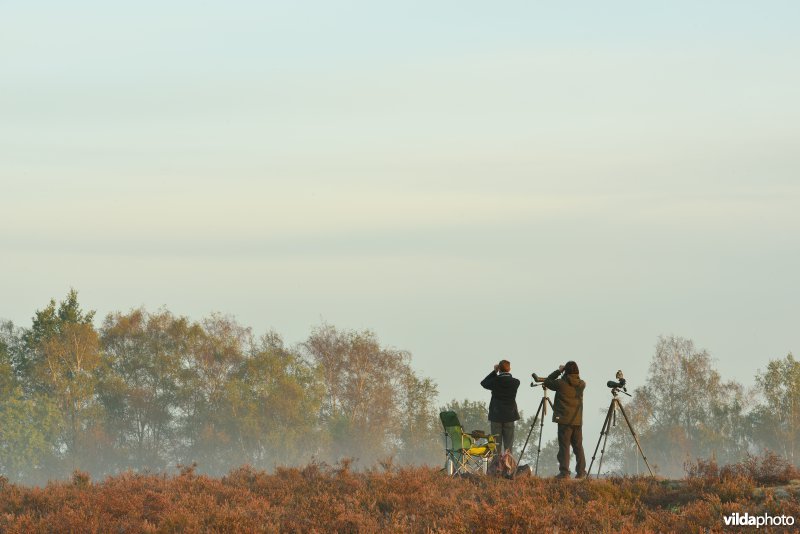 Natuurreservaat De Maten