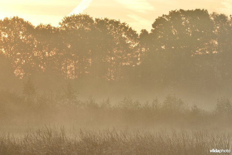 Natuurreservaat De Maten