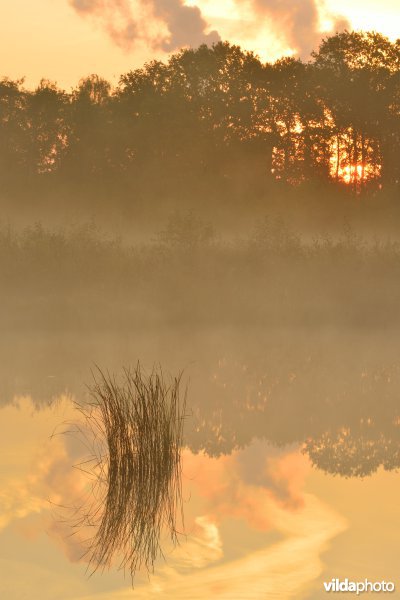 Natuurreservaat De Maten