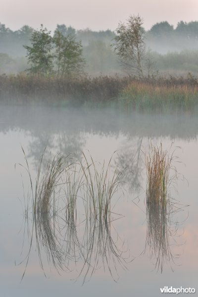 Natuurreservaat De Maten