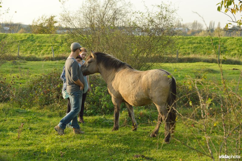 Wandelaars in de Hobokense polder