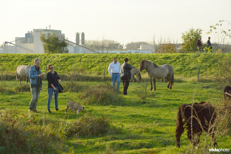 Wandelaars in de Hobokense polder