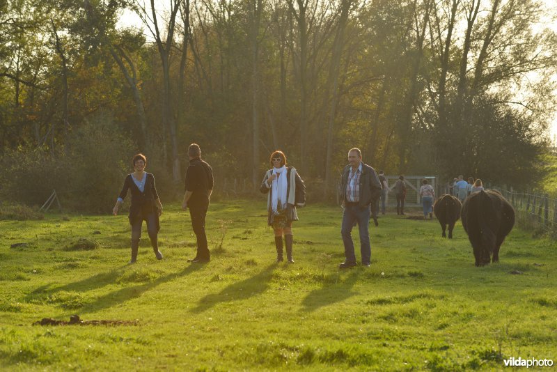 Wandelen in de Hobokense polders 