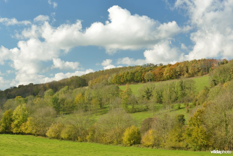 Altenbroek