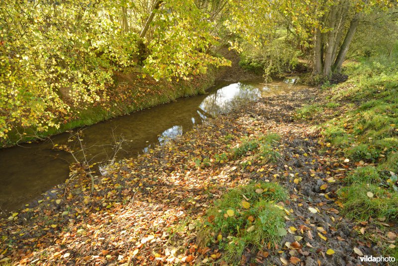 Altenbroek
