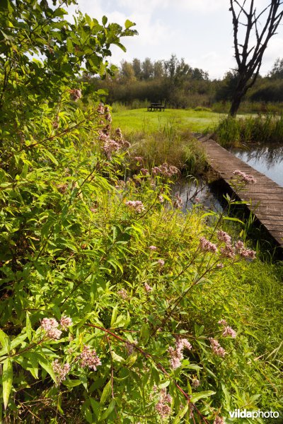 Plankenpad aan het picknickeiland